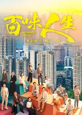 山河故人传剧集海报